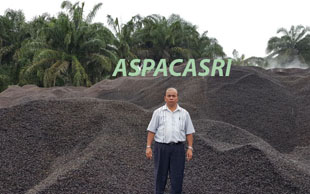 Stok cangkang sawit Riau