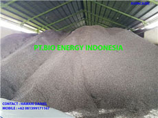 Bio Energy Indonesia